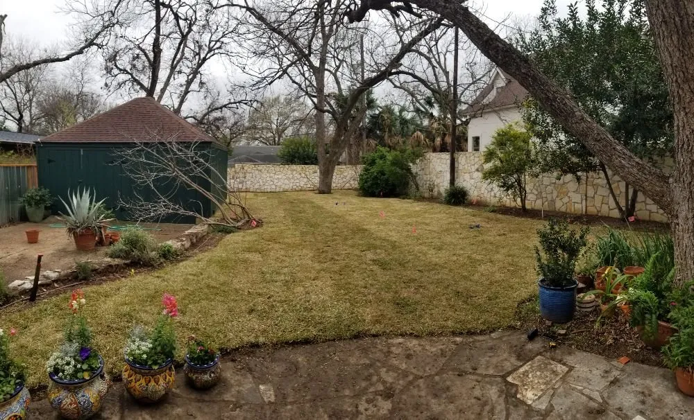 Professional lawn care service in Buda, TX by The Tree Guys