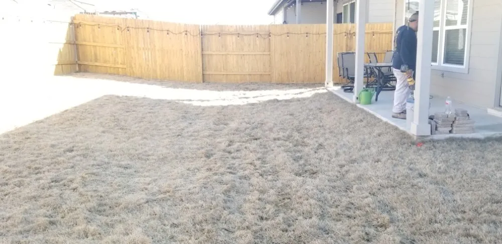 Expert yard cleanup service near you across Buda, TX - The Tree Guys