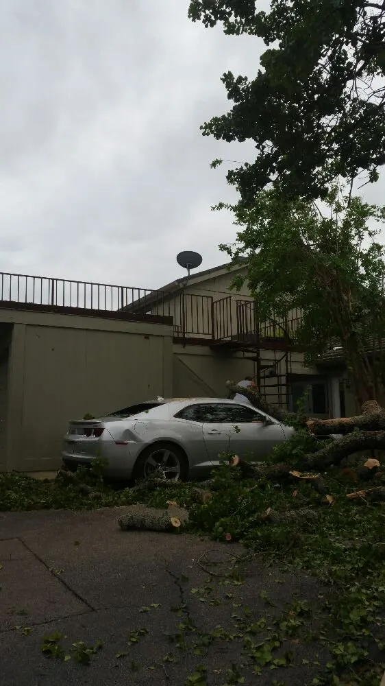 Reliable landscaping services for homes across Buda, TX - The Tree Guys