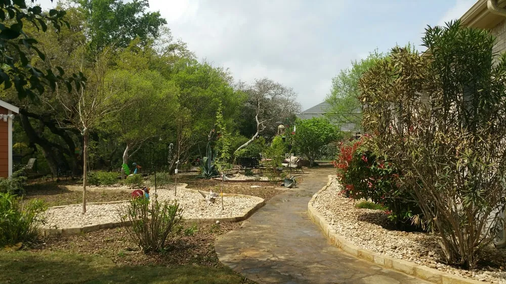 Affordable landscape design for year-round maintenance across Buda, TX - The Tree Guys