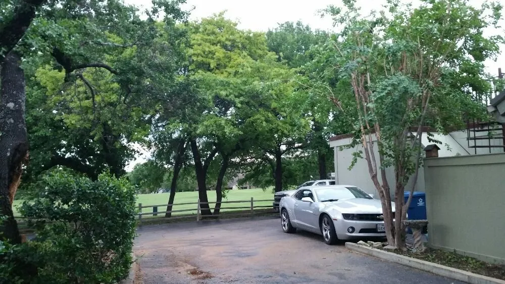 Professional landscape design in Buda, TX by The Tree Guys