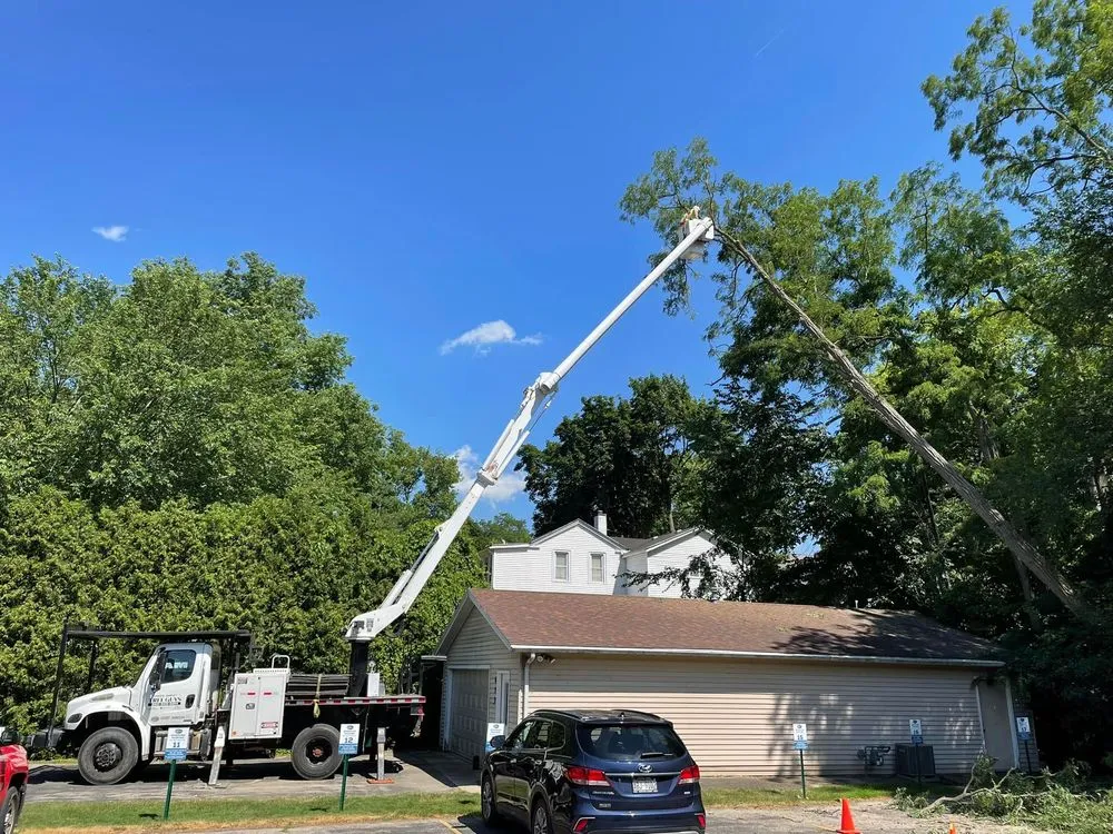 Trusted yard maintenance for outdoor upgrades across Genoa City, WI - The Tree Guys