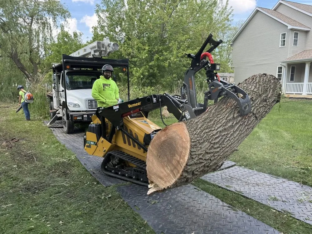 Trusted outdoor landscaping in Genoa City, WI - The Tree Guys