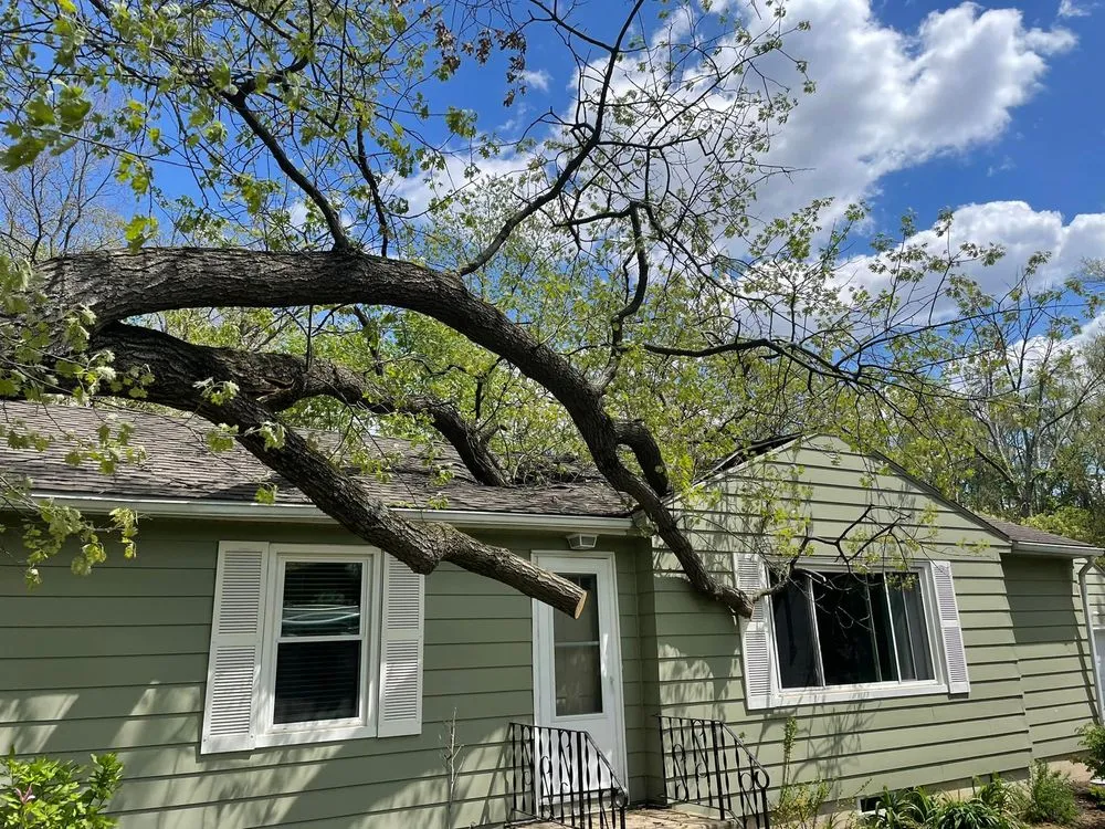 Trusted lawn care service in Genoa City, WI - The Tree Guys