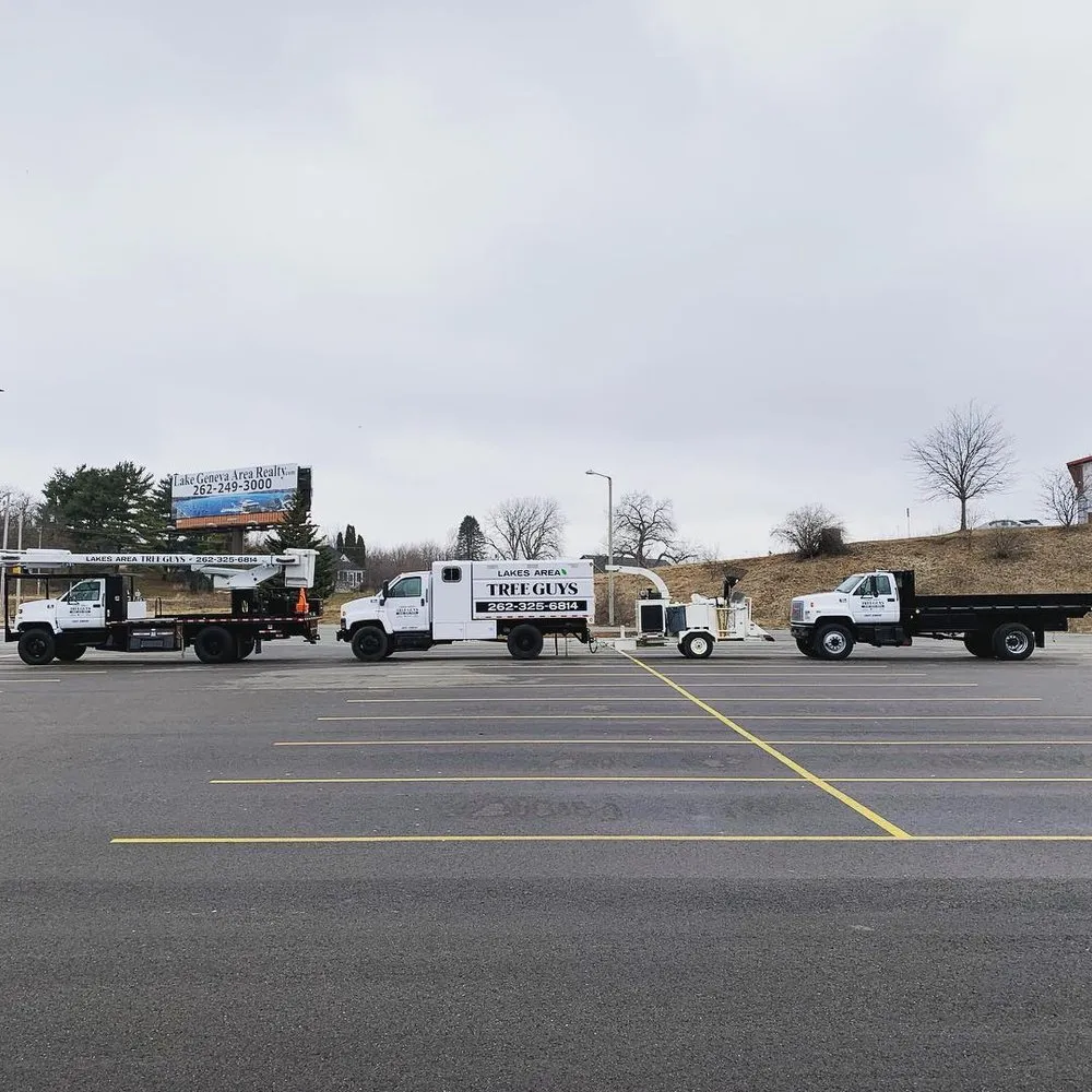 Top-rated outdoor landscaping for beautiful yards across Genoa City, WI - The Tree Guys