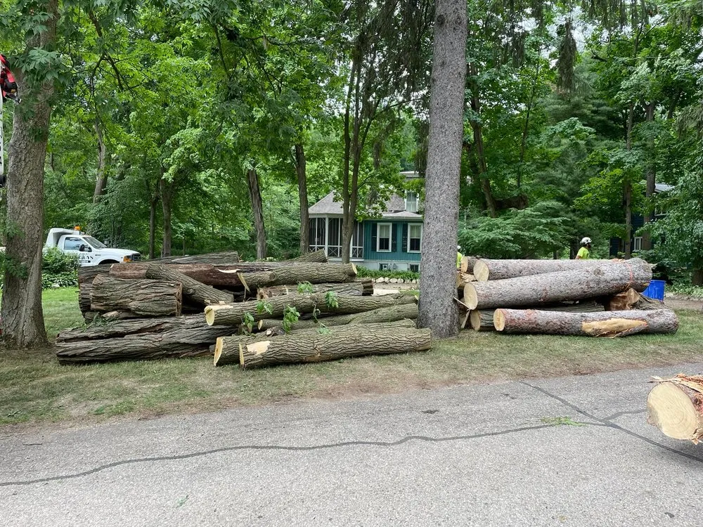 Trusted landscape design in Genoa City, WI by The Tree Guys