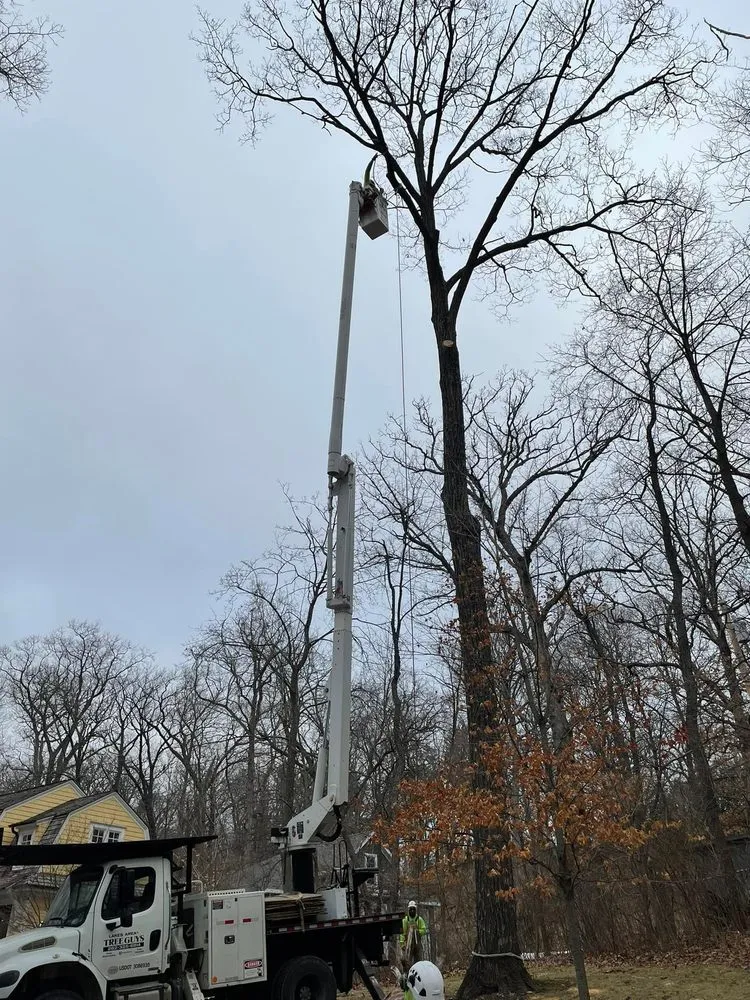 Local garden landscaping in Genoa City, WI - The Tree Guys