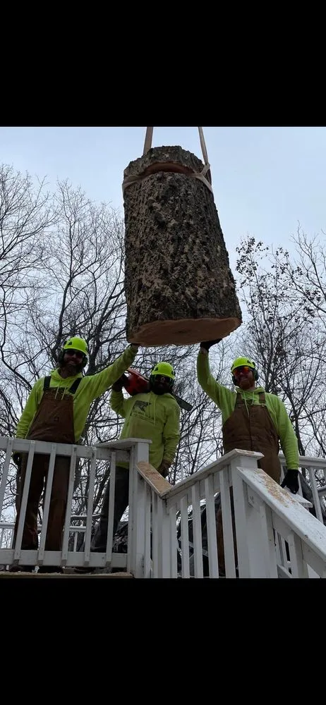 Trusted landscape installation for homes in Genoa City, WI by The Tree Guys