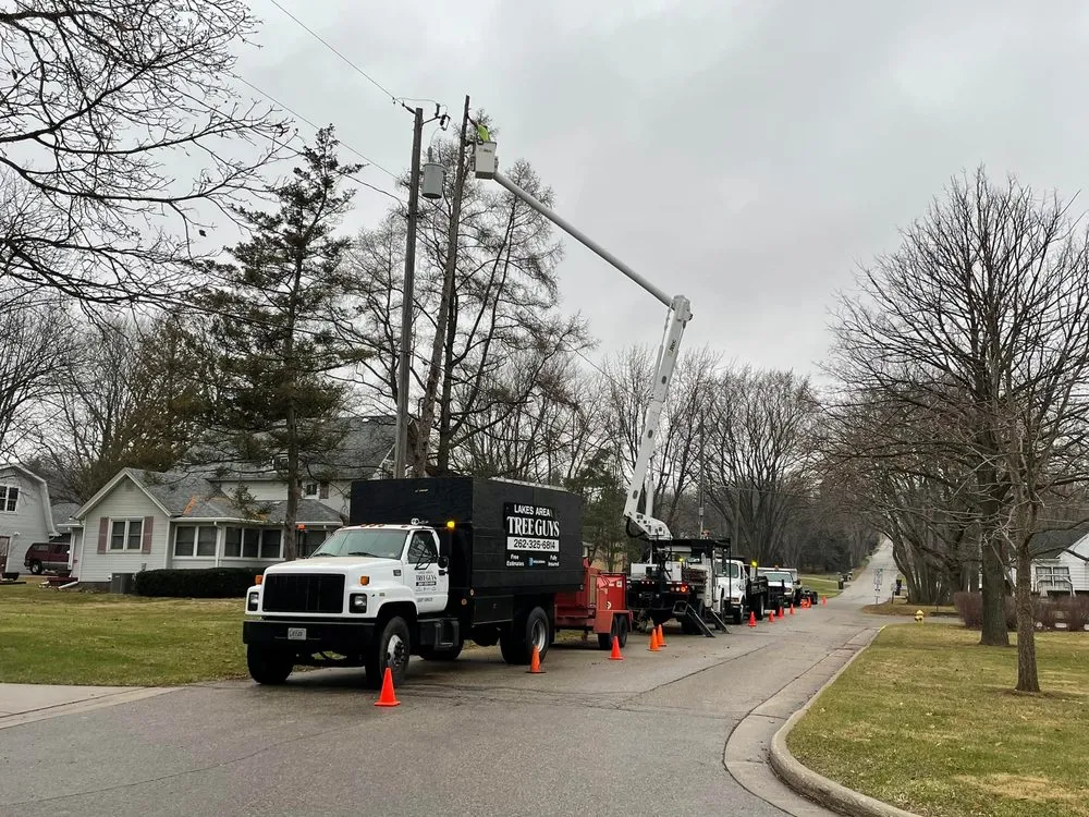 Reliable landscape design in Genoa City, WI by The Tree Guys