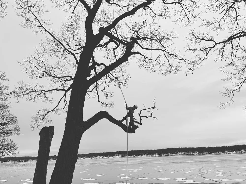 Custom lawn mowing service experts serving Genoa City, WI - The Tree Guys