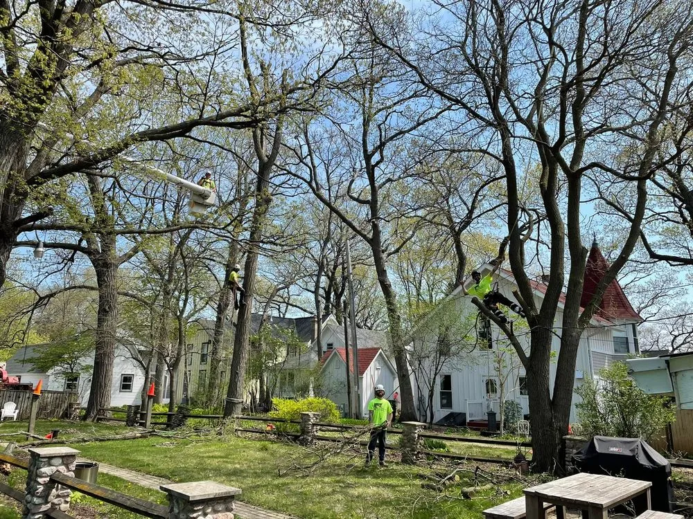 Custom garden landscaping in Genoa City, WI by The Tree Guys