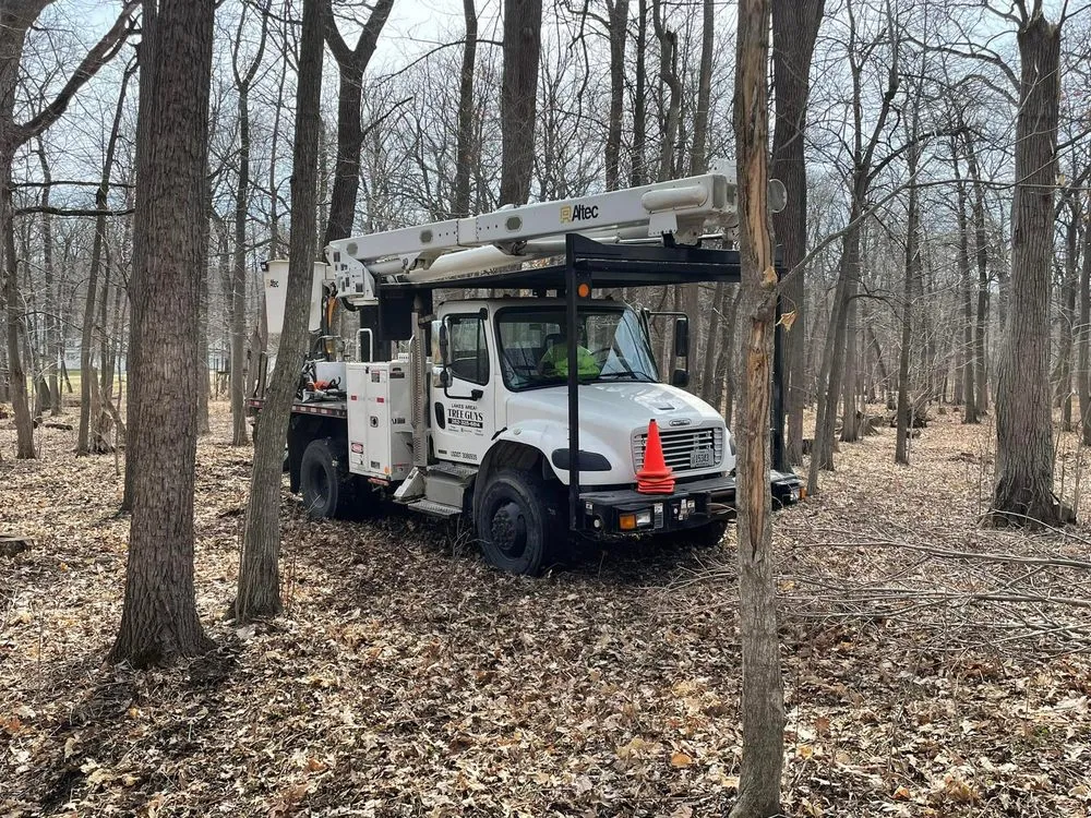 Professional landscape design in Genoa City, WI - The Tree Guys