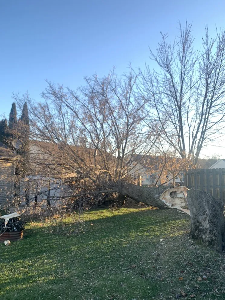 Affordable landscape installation for residential properties across Grand Blanc, MI - The Tree Meister