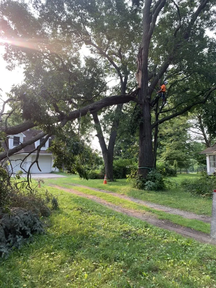 Reliable residential landscaping in Grand Blanc, MI - The Tree Meister