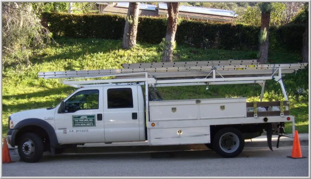 Top-rated landscaping services experts serving Santa Monica, CA - The Tree Men