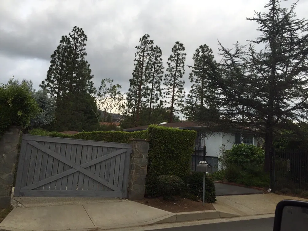 Professional landscape design near you in Santa Monica, CA by The Tree Men