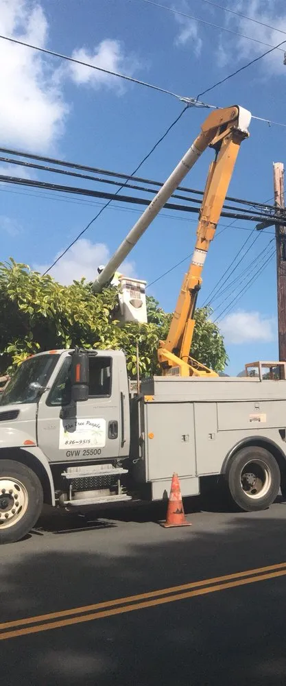 Local landscape design near you in Honolulu, HI by The Tree People