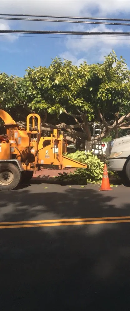 Reliable landscaping services in Honolulu, HI - The Tree People