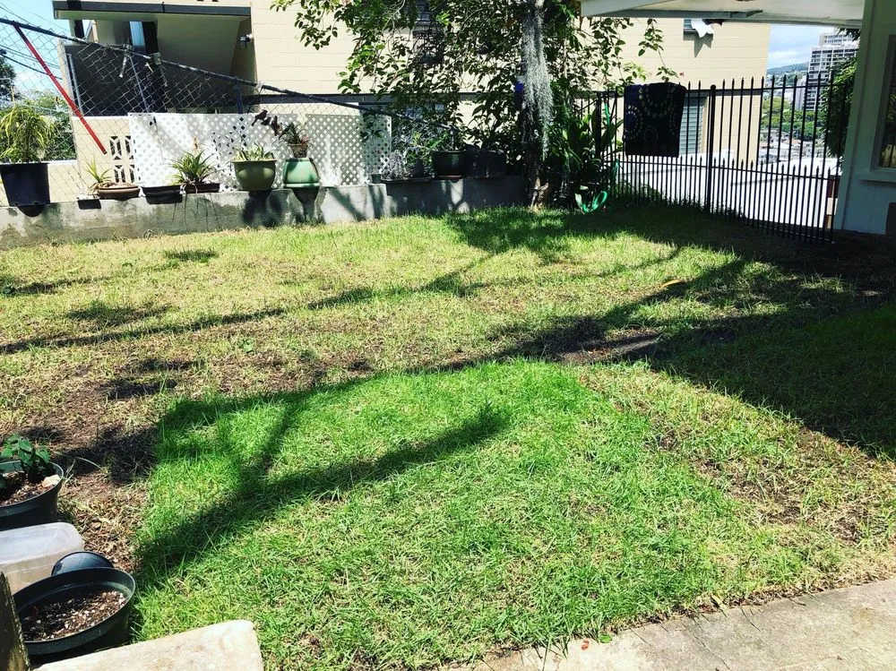 Custom landscaping services in Honolulu, HI by The Tree People