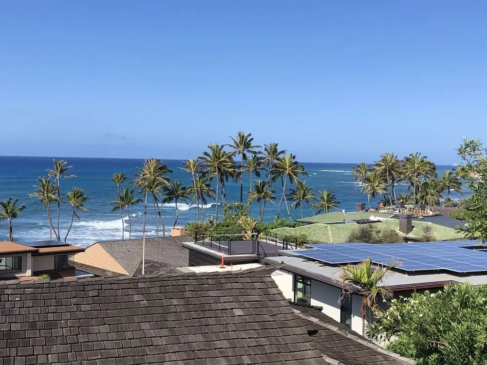 Top-rated yard cleanup service for beautiful yards in Honolulu, HI by The Tree People