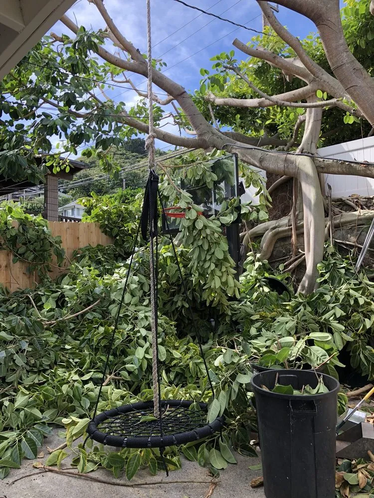 Reliable landscape installation for beautiful yards in Honolulu, HI by The Tree People