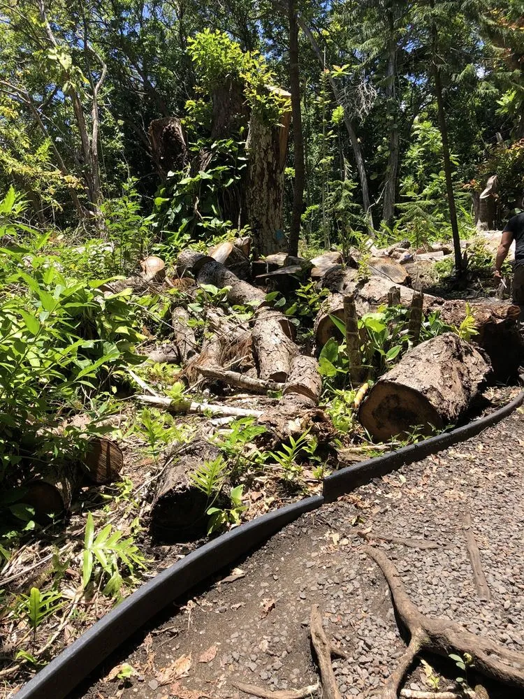 Affordable garden landscaping in Honolulu, HI by The Tree People