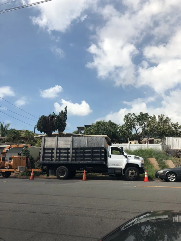 Reliable outdoor landscaping in Honolulu, HI by The Tree People