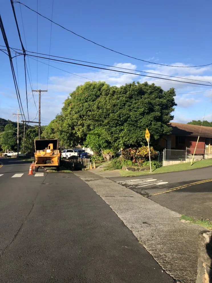 Custom landscape installation in Honolulu, HI by The Tree People