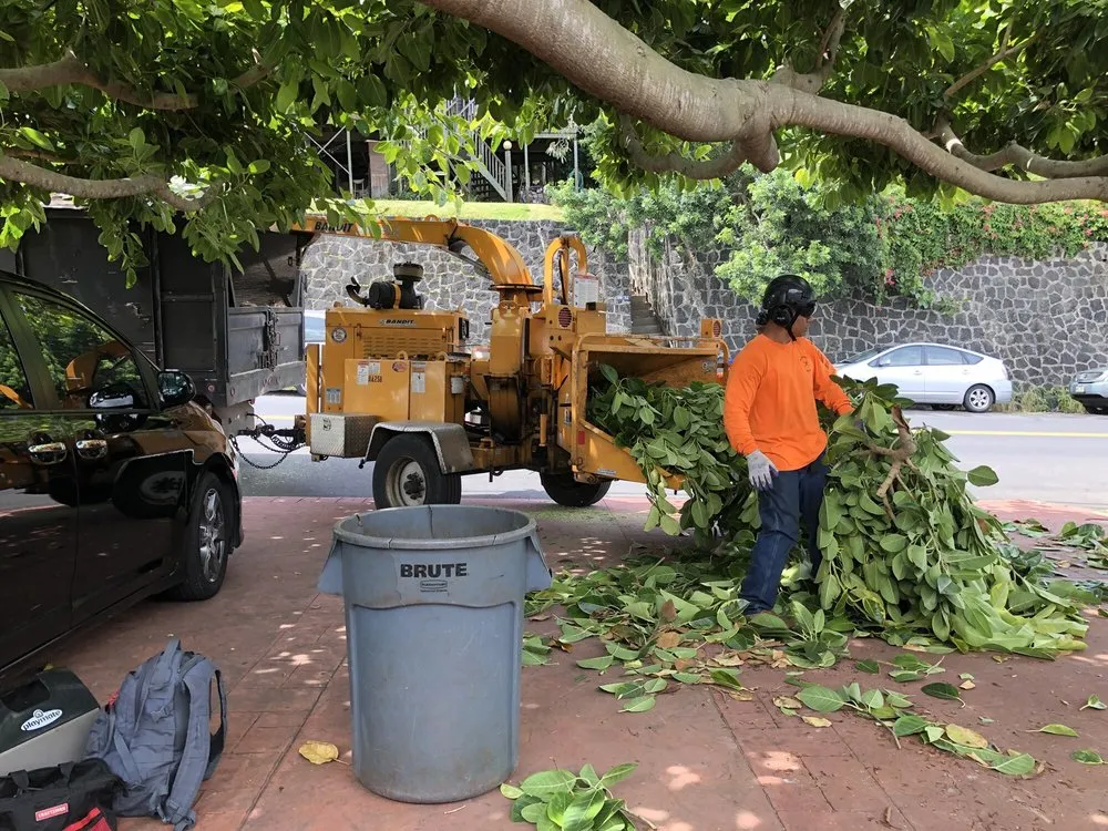 Local yard maintenance in Honolulu, HI by The Tree People