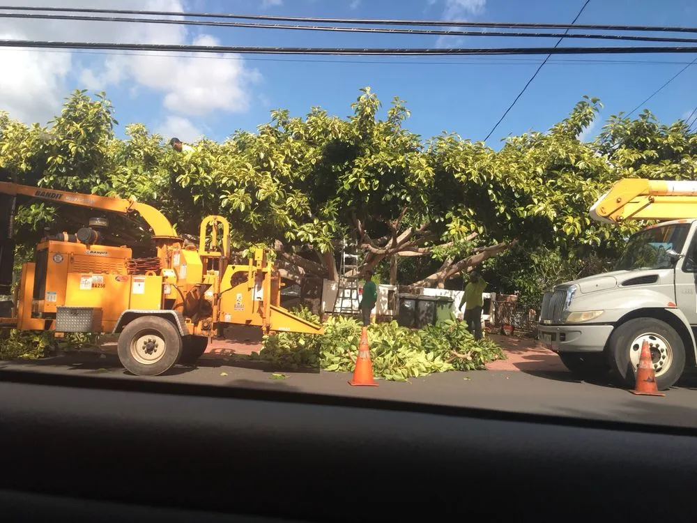 Reliable outdoor landscaping near you in Honolulu, HI by The Tree People