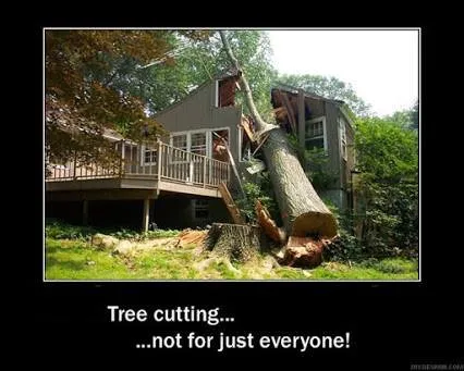 Trusted lawn care service experts serving Pasadena, MD - The Tree People