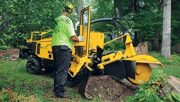 Top-rated outdoor landscaping for year-round maintenance in Pasadena, MD by The Tree People