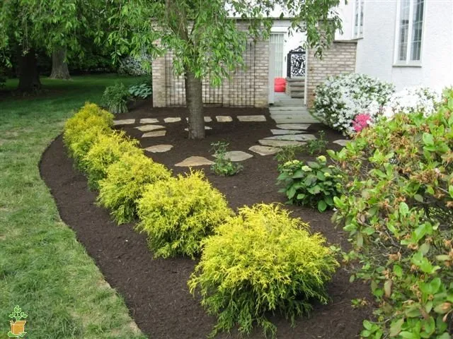 Reliable residential landscaping for year-round maintenance in Pasadena, MD by The Tree People
