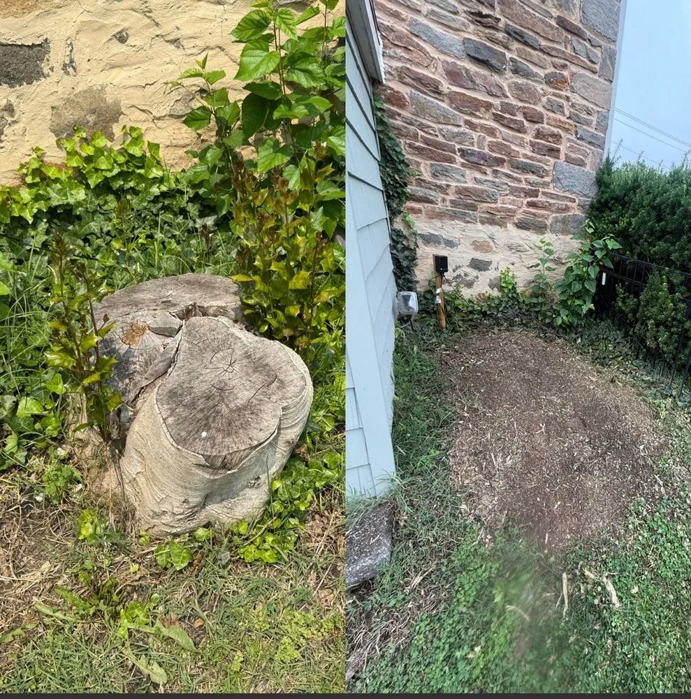 Affordable outdoor landscaping in Pasadena, MD - The Tree People