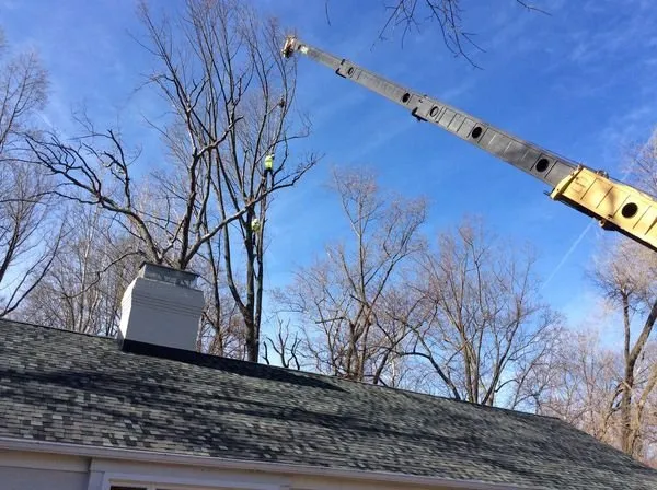 Trusted landscape installation for homes across Pasadena, MD - The Tree People