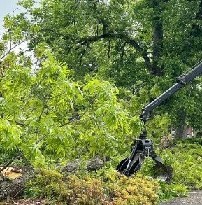 Top-rated lawn mowing service experts serving Yulee, FL - The Tree Pros