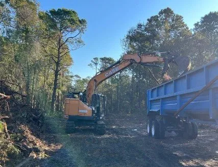 Trusted residential landscaping experts serving Yulee, FL - The Tree Pros