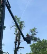 Trusted garden landscaping for homes across Yulee, FL - The Tree Pros