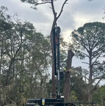 Local lawn care service for year-round maintenance in Yulee, FL by The Tree Pros