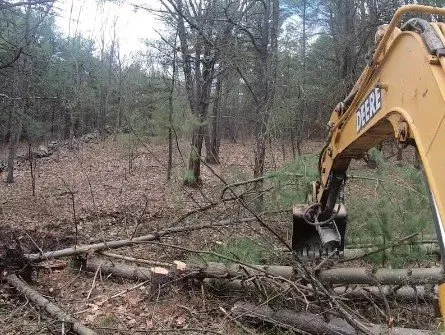 Custom lawn mowing service experts serving Yulee, FL - The Tree Pros