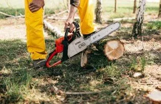 Reliable lawn mowing service in Yulee, FL by The Tree Pros