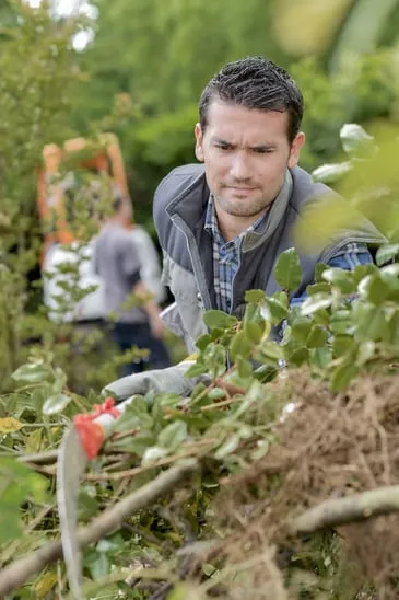 Reliable yard cleanup service in Saint Cloud, FL by The Tree Service Company