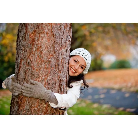 Professional landscaping services for year-round maintenance in Saint Cloud, FL by The Tree Service Company