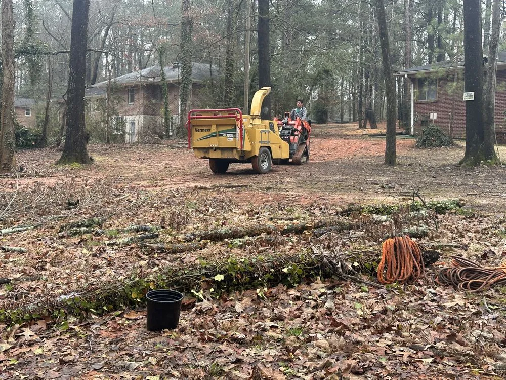 Expert yard maintenance experts serving Lithia Springs, GA - The Tree Spot Tree Service