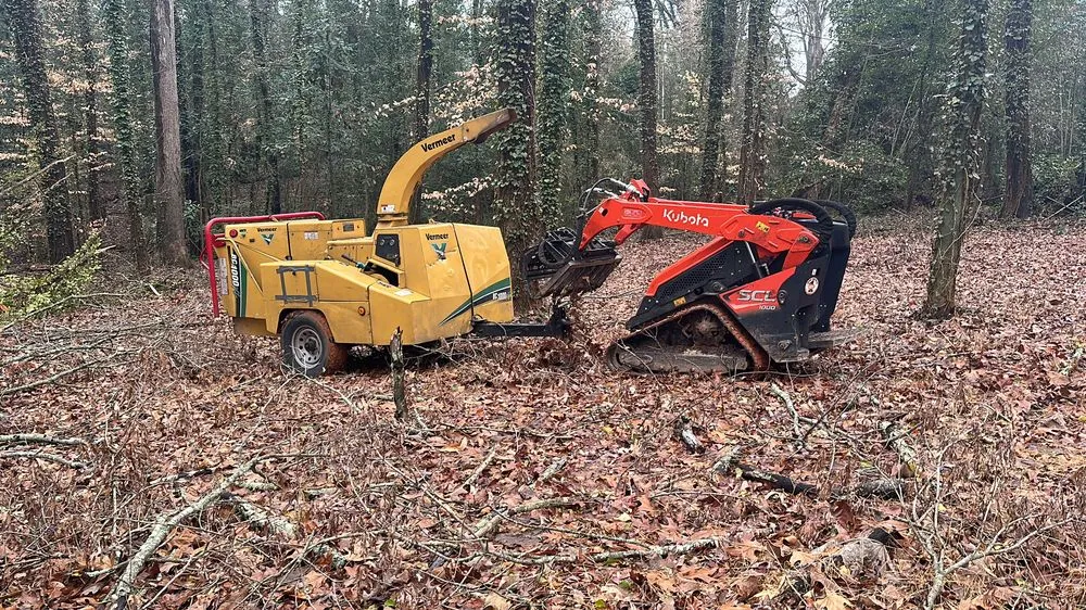 Professional outdoor landscaping for beautiful yards across Lithia Springs, GA - The Tree Spot Tree Service
