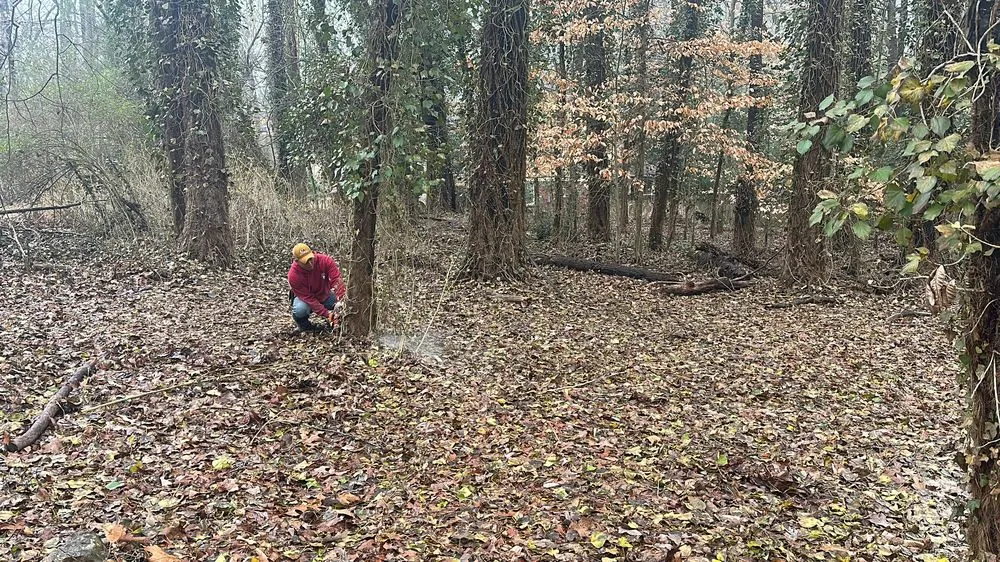 Expert garden landscaping in Lithia Springs, GA by The Tree Spot Tree Service