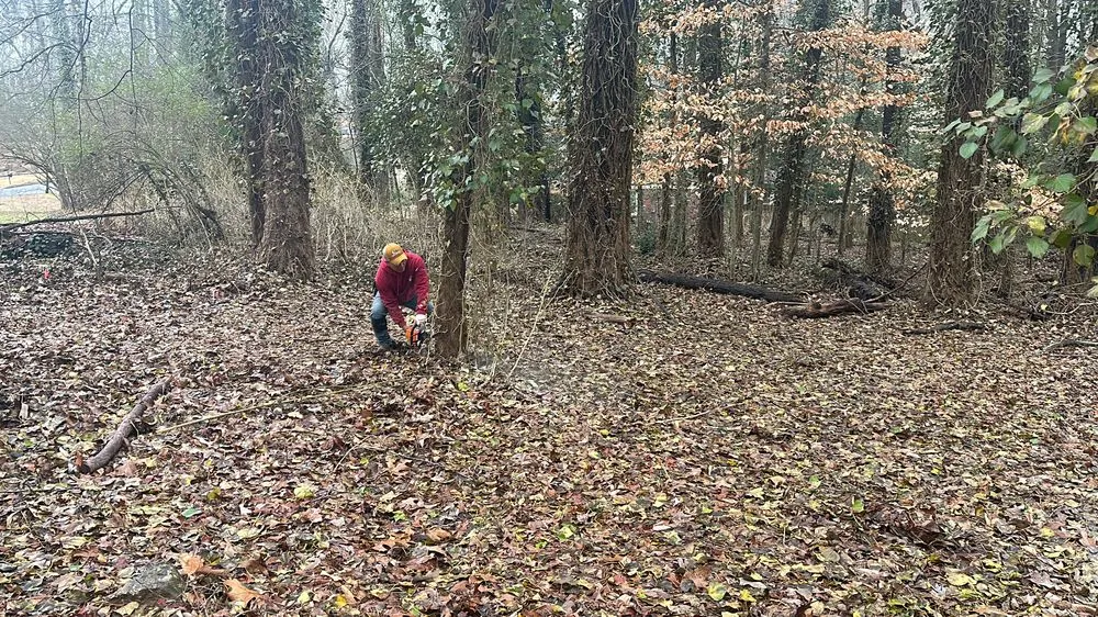 Custom landscape design in Lithia Springs, GA by The Tree Spot Tree Service
