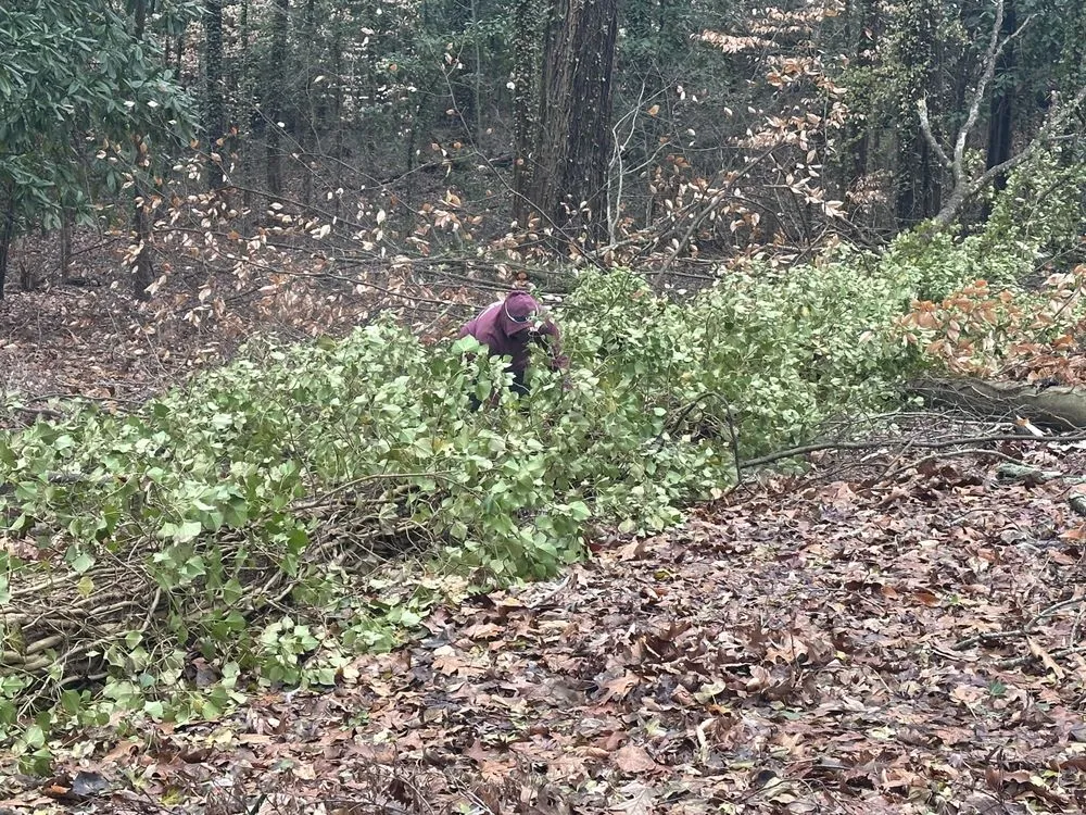 Professional outdoor landscaping for residential properties in Lithia Springs, GA by The Tree Spot Tree Service