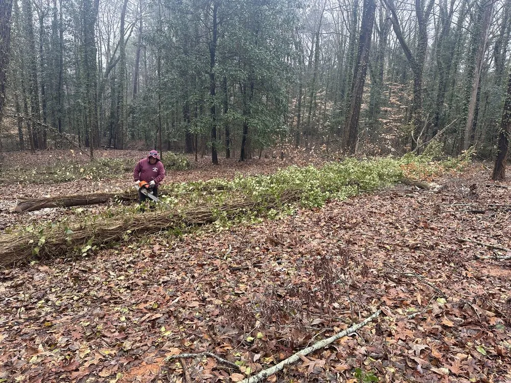 Reliable lawn care service experts serving Lithia Springs, GA - The Tree Spot Tree Service