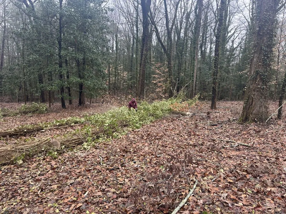 Custom yard maintenance in Lithia Springs, GA - The Tree Spot Tree Service